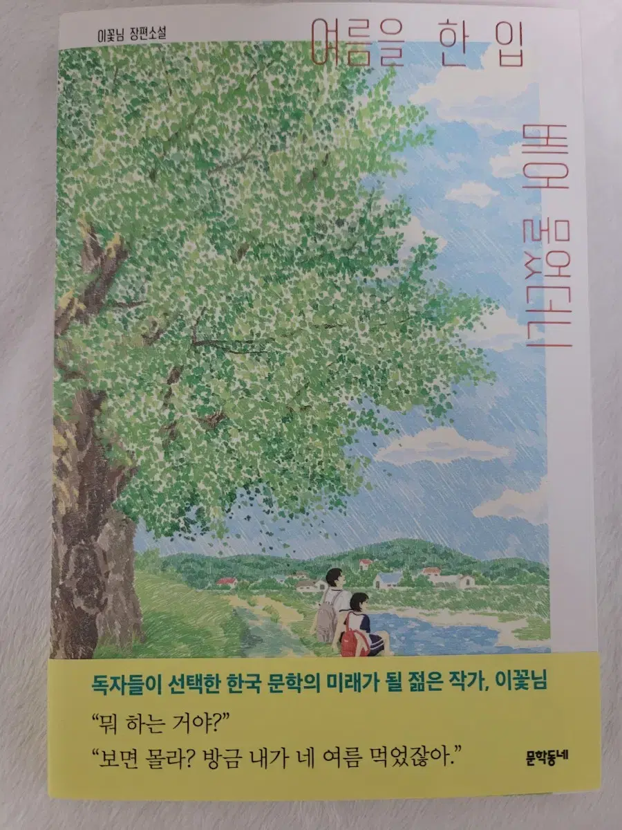 미사용) 여름을 한입 베어물었더니 책